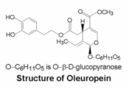 Olio extravergine di oliva e protezione delle ossa: binomio imprescindibile