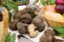 Coldiretti: dalle Marche 10mila kg di tartufo col vademecum per gustarlo