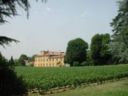 Porcini e chiodini in Franciacorta. Profumo di funghi al Mosnel