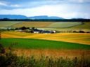 Anticipi Pac, Galan: soldi veri e subito a sostegno degli agricoltori