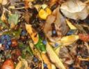 Rifiuti agricoli, Cia Emilia Romagna: si rischiano nuove complicazioni e più costi