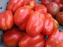 Alimentare, Cia: sequestro falso San Marzano