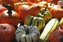 Ostellato, "Zucca in festa": dal 6 al 28 novembre 2010, tutti i week-end del mese