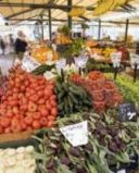 Agricoltura, Cia: importante un Piano proteine vegetali