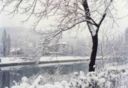 Neve, la saggezza contadina conferma il meteo: 226 anni di storia per la fiera di Santa Caterina