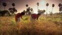 Cia: più agricoltura per sconfiggere fame e povertà nel mondo
