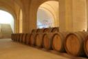 Natale in Cantina a "L'Astore Masseria" di Cutrofiano (Le)