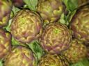 Eccezionale ondata di maltempo in Puglia: distrutto il 70% dei carciofi