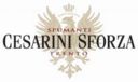 Cesarini Sforza brinda alla Accademia Nazionale di Santa Cecilia