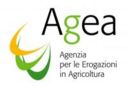 Agea: varato bilancio preventivo 2011