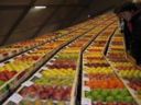 Cia: l'inflazione corre, ma l'agricoltura frena l'impennata dei listini alimentari