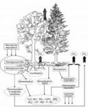 Su Science le "armi" di San Michele all'Adige contro l'effetta serra