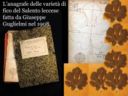 Investigazione sulla collezione Guglielmi "Fichi del leccese" (Ficus carica L.)