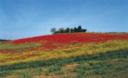 Il "Calendario Coldiretti Asti 2011". Dedicato alla filiera agricola tutta italiana