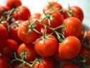 Pomodoro: la Cia lancia il progetto del Distretto agroalimentare del Sud