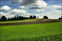 L'agricoltura veneta sceglie il suo futuro