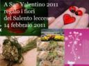 A San Valentino 2011 regalo i fiori del Salento leccese