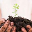Pil, Coldiretti: agricoltura inverte rotta e sale valore aggiunto