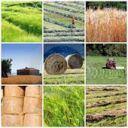 Pmi: nuova moratoria debiti evita "crac" per 25 mila imprese agricole
