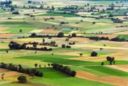 Ue: Riforma Pac; Marini (Coldiretti), agricoltori protagonisti in accordo