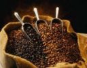 La filiera del caffè: il prezzo è giusto