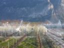 Irrigazione, ecco le "misure" per risparmiare l'oro blu