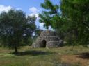 Chi rappresenta i proprietari del Paesaggio rurale del Salento leccese?