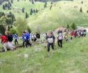 Tra sport e sapori: con il Nordic Walking alla scoperta delle Prealpi