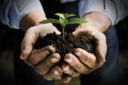 Pil: Coldiretti: in agricoltura inverte rotta e sale dell'1% nel 2010
