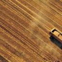 Prezzi agricoli, Cia: crescono a gennaio ma sono "tagliati" dai costi