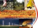 Nel Salento leccese una centrale di 137 megaWatt a Olio lampante per produrre energia