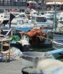 Coldiretti Impresa Pesca, subito 3 mesi di fermo pesca contro crisi settore e consumi