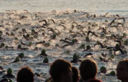 Doppio appuntamento per la 4° edizione del Triathlon Città di Quinto (Treviso)