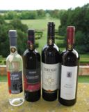 Quattro per Qualithos: avvicinamento al vino in quattro tappe