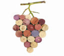 Autochtona 2010, appuntamento a Bolzano per il vino autoctono