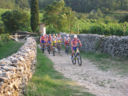 In bici nelle terre di Giulietta