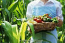 La società civile europea dice SI al cibo sano, sostenibile e solidale