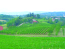 Cantina Beato Bartolomeo festeggia i suoi sessant'anni ''rivolti al futuro''