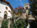 Castagneto a Tavola