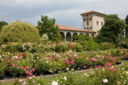 Colori e profumi di Primavera a Castello Quistini