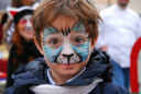 Gata, gatei e gattini in piazza a Vicenza