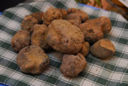 Olio e tartufo colorano il marzo di Volterra (Pi)