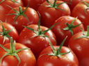 Made in Italy: martedì 8 giugno alt al pomodoro cinese da agricoltori ed industriali