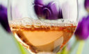 Il vino amato dalle donne: Rosè tipico del Salento leccese!