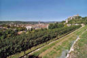 A maggio, la Strada del Vino di Soave si colora di bianco, rosso e... Verdone nano