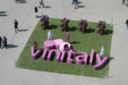 Ecco le anteprime di Vinitaly!