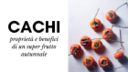 Cachi: proprietà e benefici di un super frutto autunnale