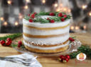 Tutorial Naked cake di Natale con ghirlanda natalizia per dolcidee.it