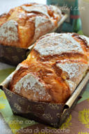 Brioche a due impasti con marmellata di albicocche