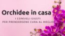 Orchidee in casa, i consigli giusti per prendersene cura al meglio